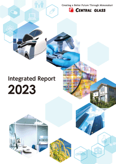 Integrated Report 2023